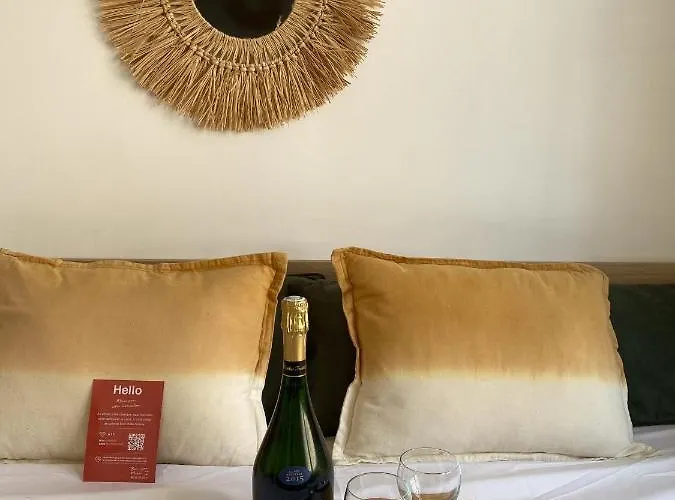 Casa de hóspedes Climatisee 2 Lits - Proche Centre Tramway